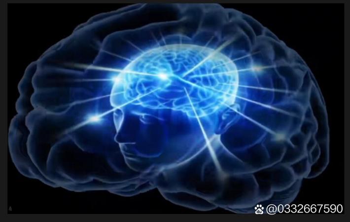 最新黑料 - 某选秀节目被曝黑幕,参赛选手实名举报节目组操控票数